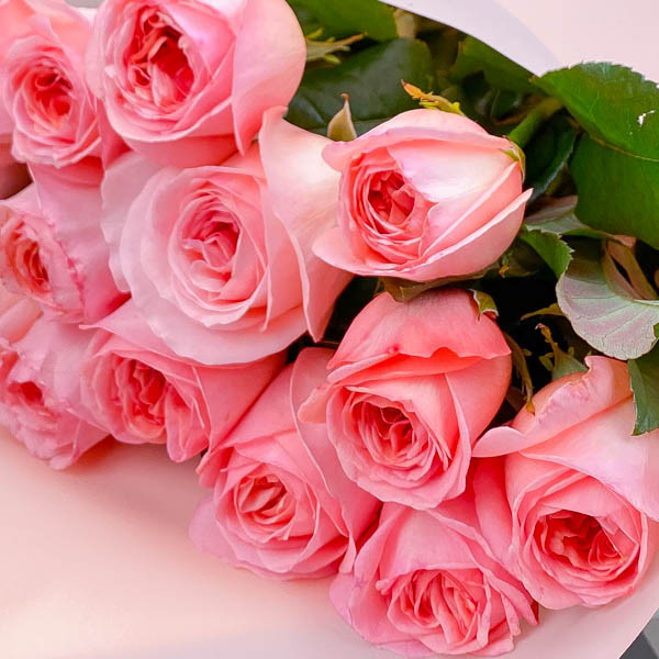 Фото Букет роз, более 94 качественных бесплатных стоковых фото